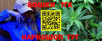 крисы Кингисепп