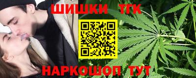 крисы Кингисепп