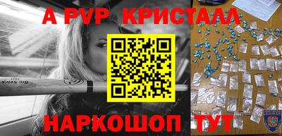 крисы Кингисепп