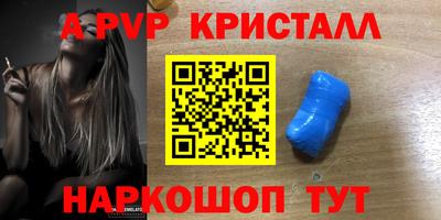 крисы Кингисепп